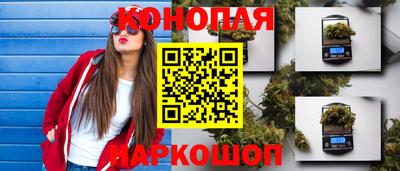 ГАЛЛЮЦИНОГЕННЫЕ ГРИБЫ Камышлов