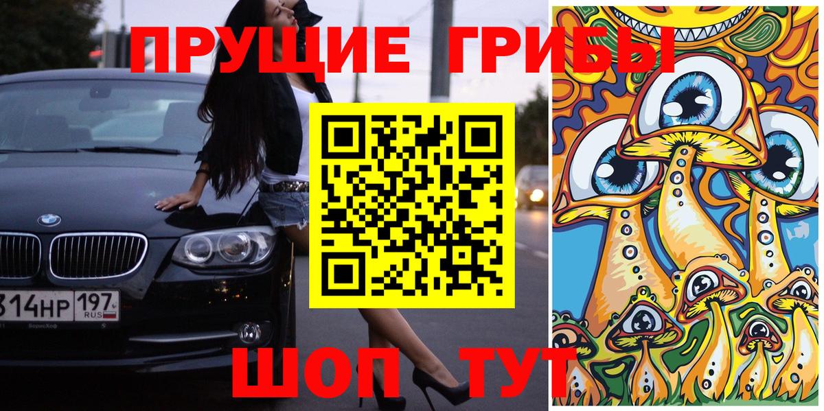 Галлюциногенные грибы Psilocybine cubensis  Вход с VPN  Галлюциногенные грибы Cubensis  Майский 