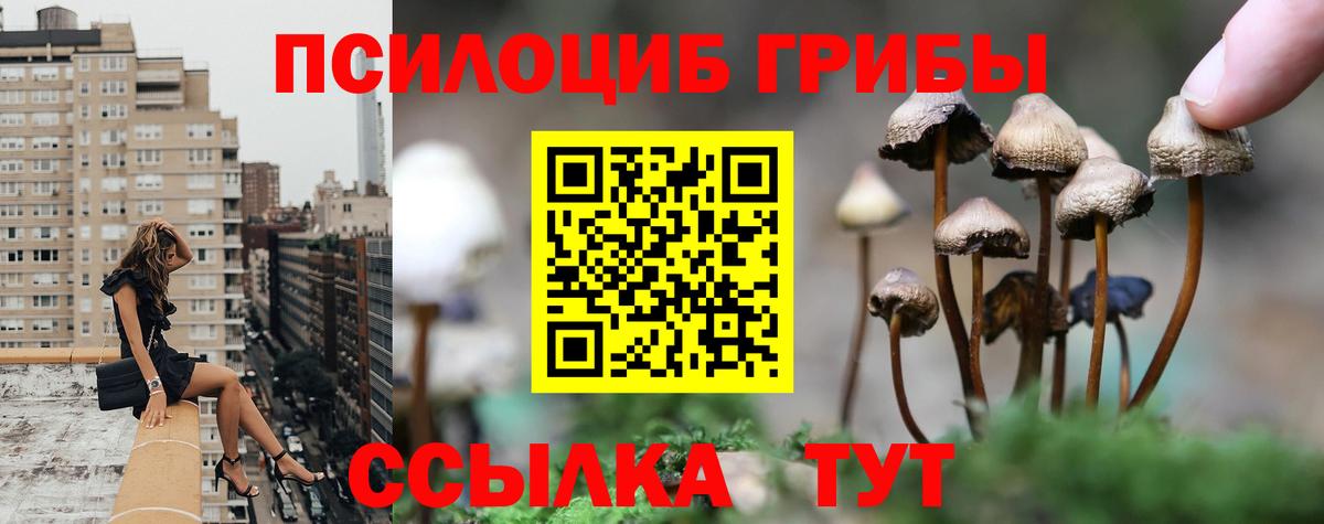 Галлюциногенные грибы Cubensis Майский